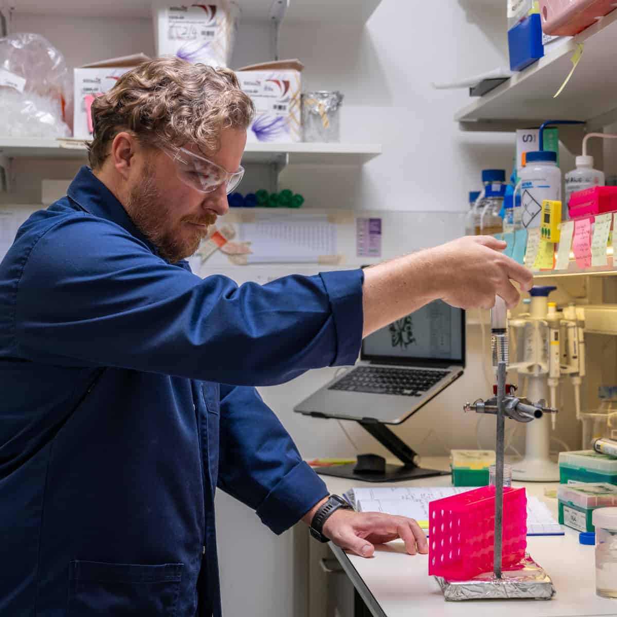 How One Tool Helps Different Fungi Hijack Plant Signalling