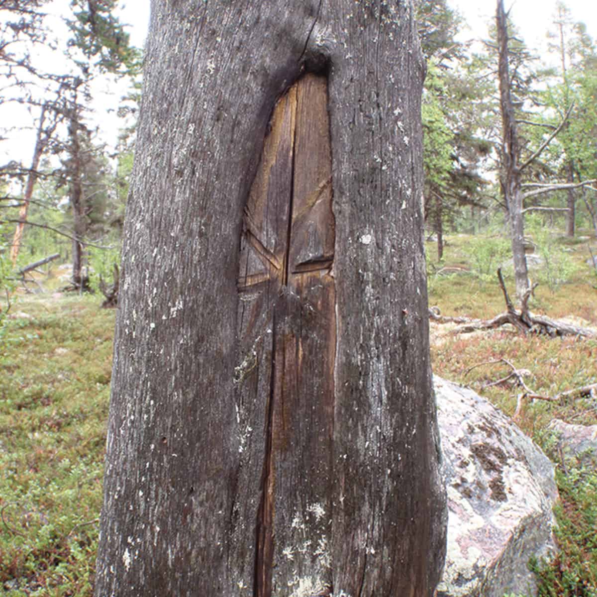 A dead tree with an X hacked into it.