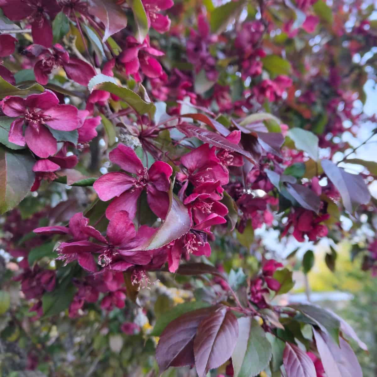 The Week in Botany April 21, 2025