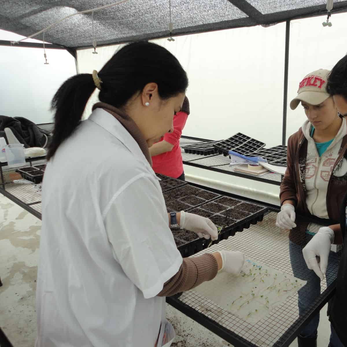 Pilar Márquez-Cardona: Growing Knowledge, Cultivating Communities