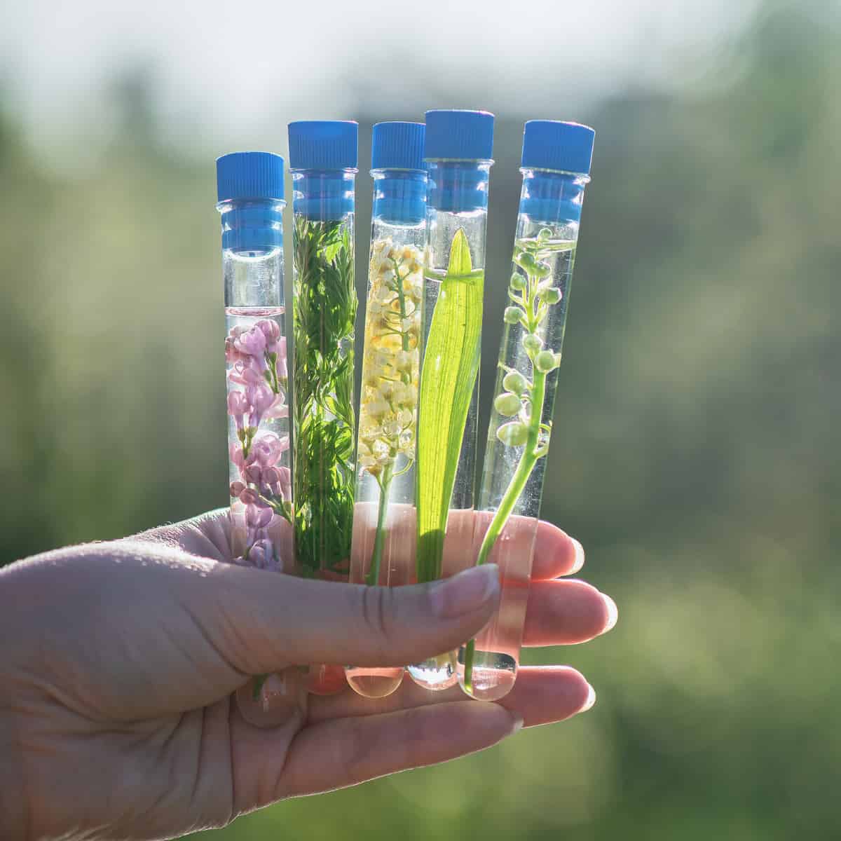 The Week in Botany June 2, 2025