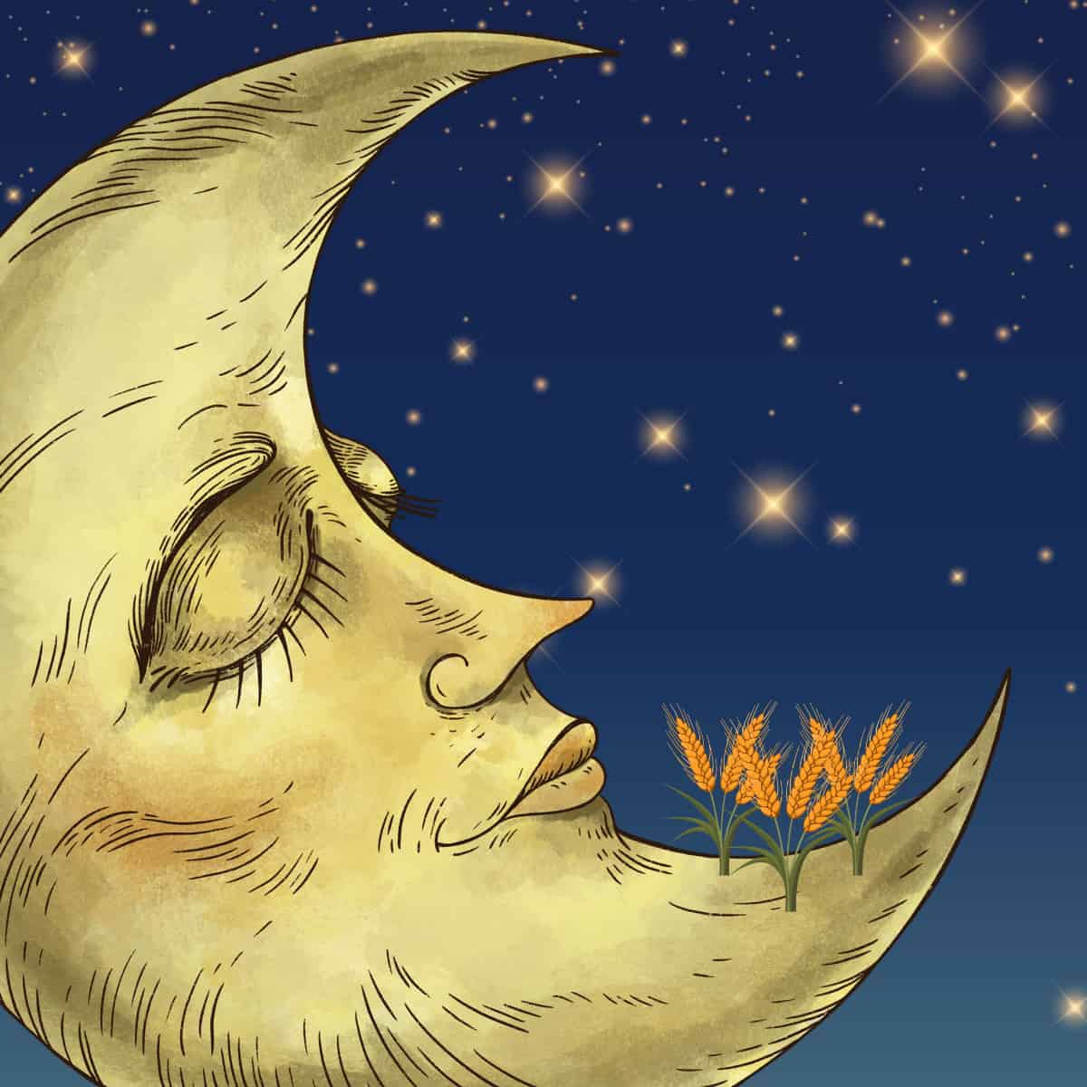 The Best Way to Farm on the Moon Uses Barely Any Fertiliser