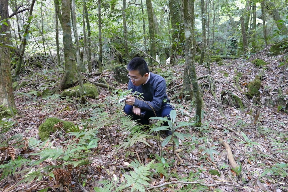 A researcher in glasses and a dark blue sweater crouches in a dense forest environment, examining plants with a handheld magnifying glass. He is surrounded by ferns, fallen logs, moss-covered rocks, and leaf litter on the forest floor. The setting is woodland with mixed vegetation and natural debris typical of forest ecosystems."