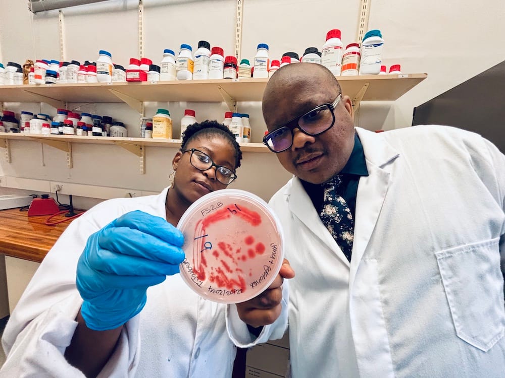 Dr. Itumeleng Moroenyane and a female student researcher in white lab coats examine a petri dish containing pink/red bacterial or fungal colonies in their microbiology laboratory. The student, wearing blue nitrile gloves, holds up the culture plate while both scientists smile at the camera. Behind them, wooden shelves are lined with numerous laboratory reagent bottles with colorful caps, typical of a well-equipped research lab.