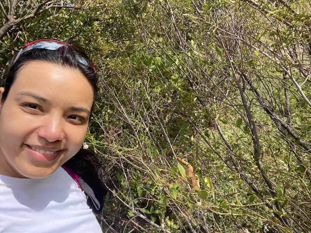 Dr. Ishida taking a selfie during fieldwork at Serra do Cipó in Minas Gerais, Brazil, smiling at the camera while wearing sunglasses on her head and a white shirt, surrounded by the natural cerrado vegetation where she conducts her parasitic plant research.