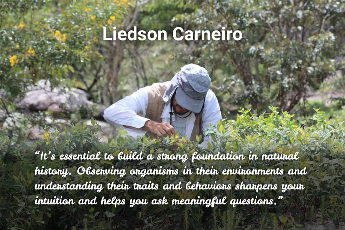 Quote from Liedson Carneiro “It’s essential to build a strong foundation in natural history. Observing organisms in their environments and understanding their traits and behaviors sharpens your intuition and helps you ask meaningful questions.”