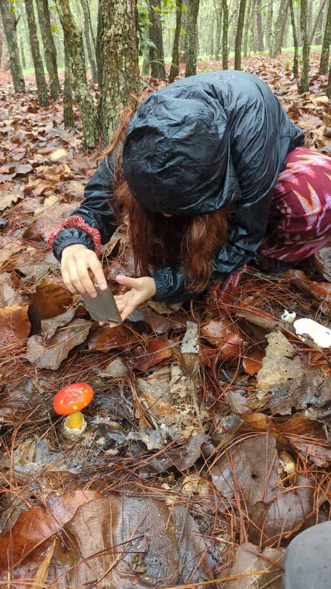 The Week in Botany September 15, 2025