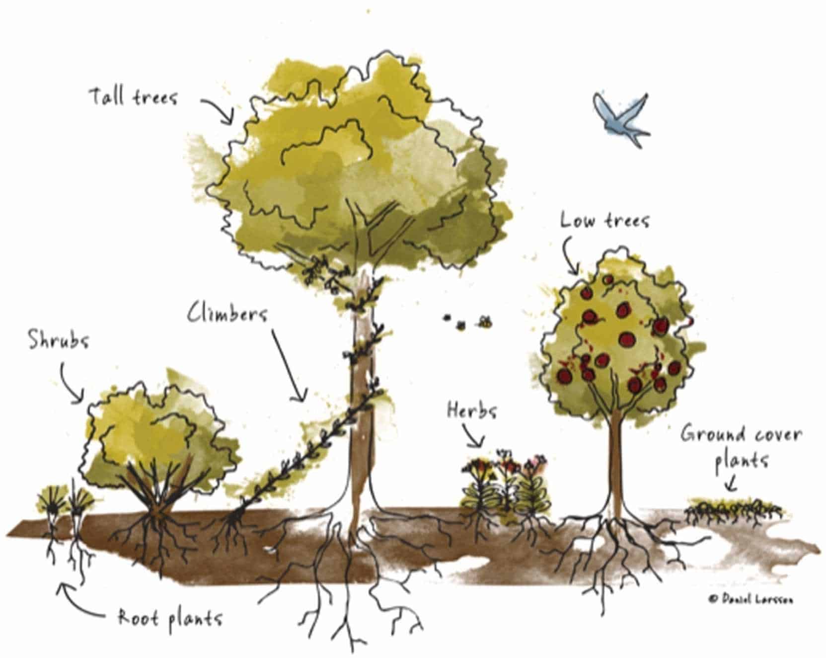 They thought they were growing fruit. They accidentally grew a neighborhood.