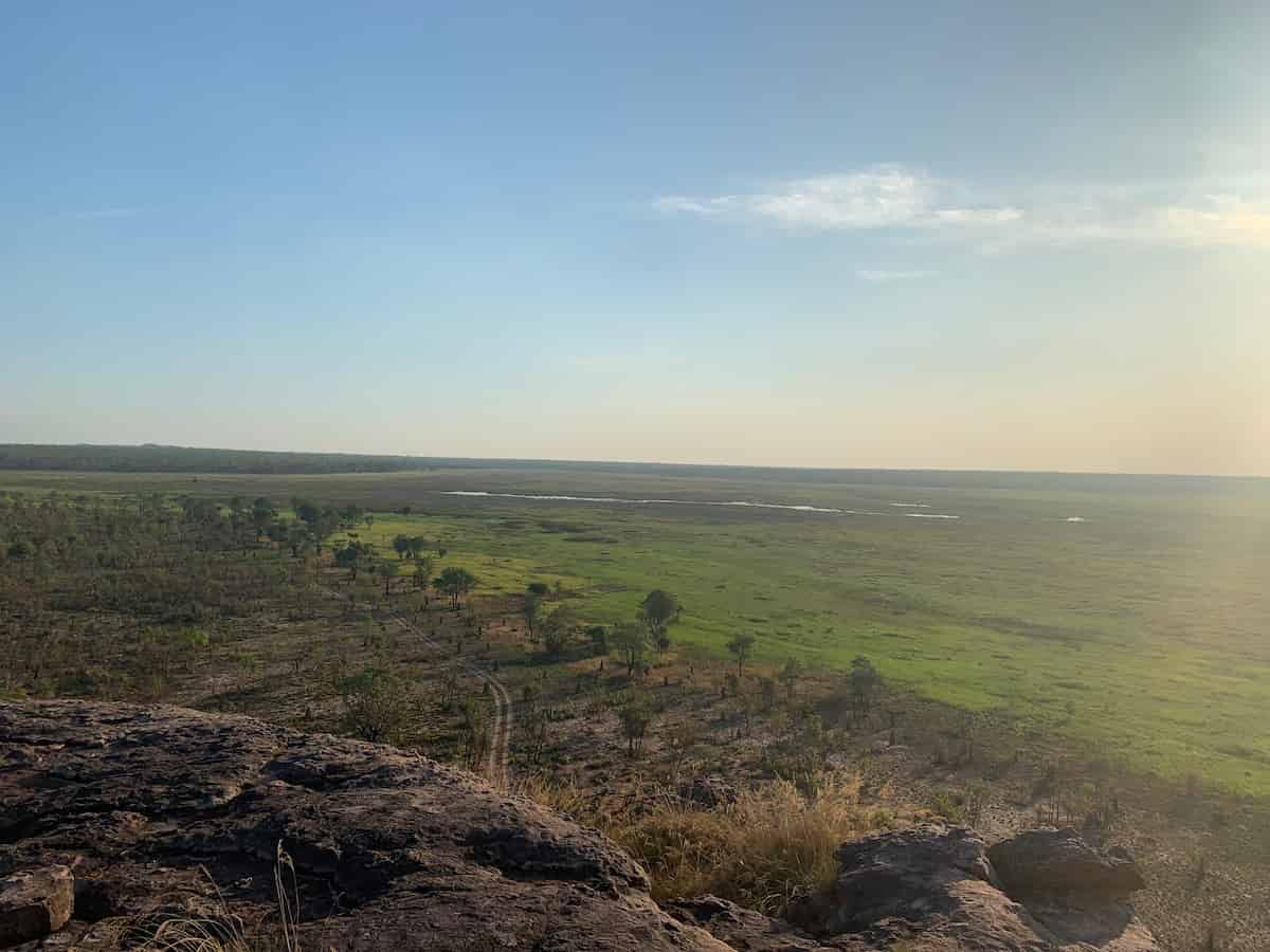 A view over green grassland and partially burned scrub.