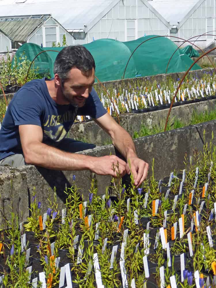 Filip Vandelook tending to some small plants.