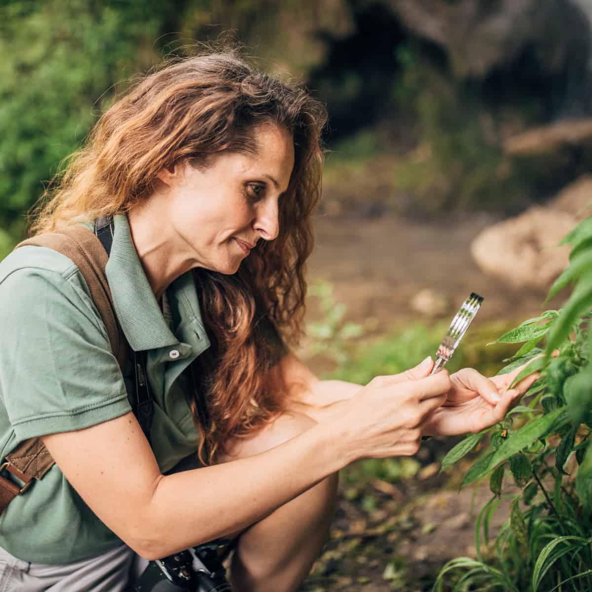A botanist examining a leaf under a magnifying glass.