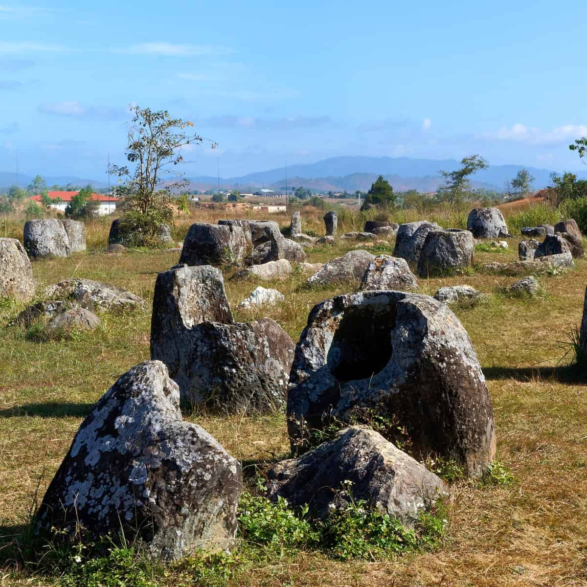 The Ecological Experiment 2000 Years in the Making