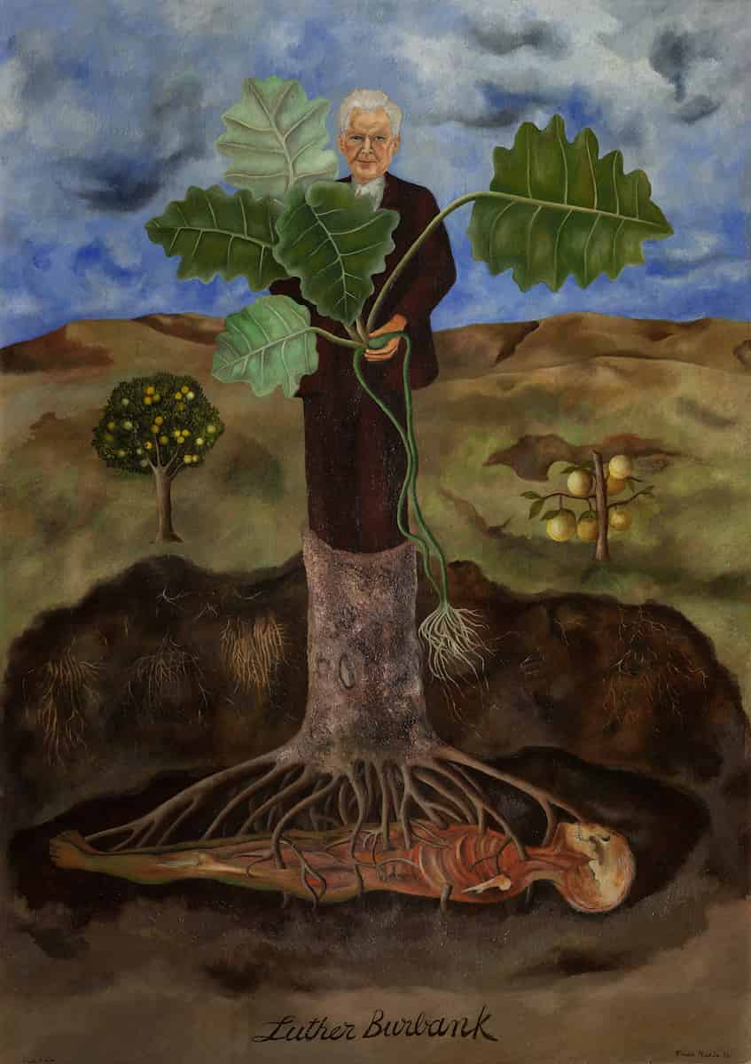 Burbank stands in a brown suit holding a large-leafed plant with visible roots, his body merging with a tree trunk that rises from the earth.
