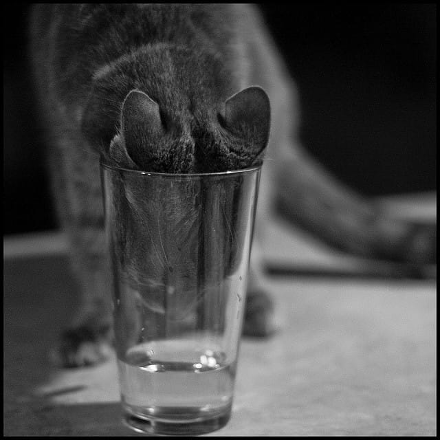 Thirst by Todd Baker