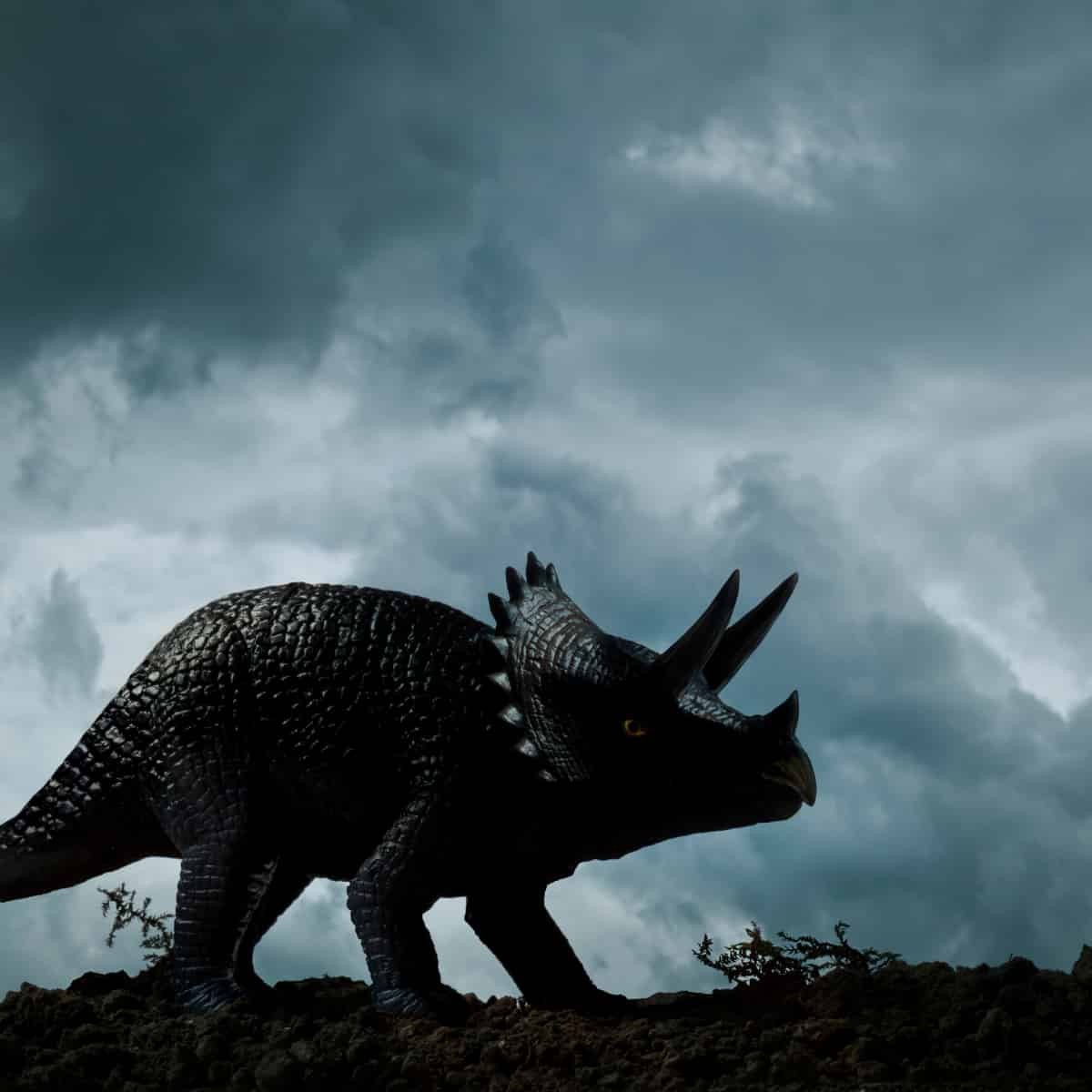 A silhouette of a Triceratops, unequivocally the best dinosaur.