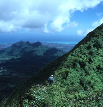 Diversification in Hawaiian Dubautia laxa