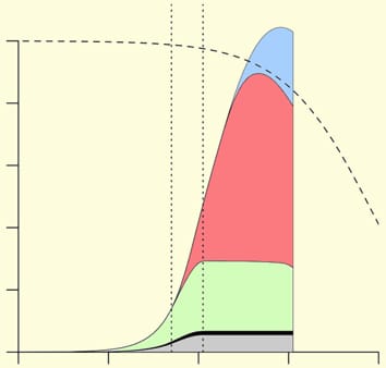 Modelling phosphorus and reproductive phenology