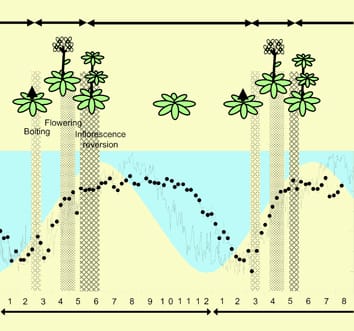 Gene function, reproduction and climate change (Review)
