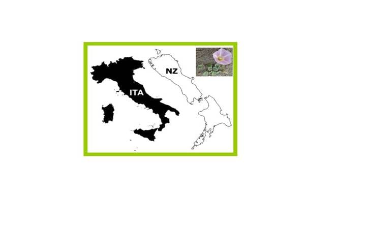 Free—open access paper: Chromosome number variation in two antipodean floras