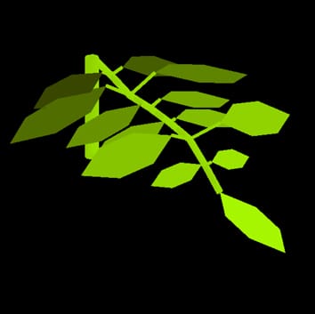 Modelling as a tool for tomato ideotyping