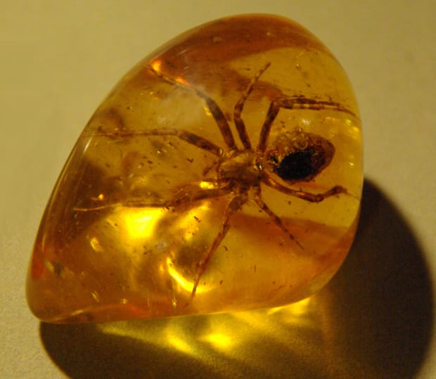 Image: Elisabeth Walraven/Wikimedia Commons.