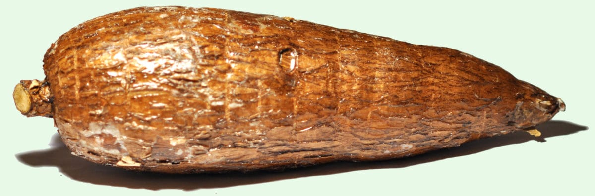 Image: Wikimedia Commons.