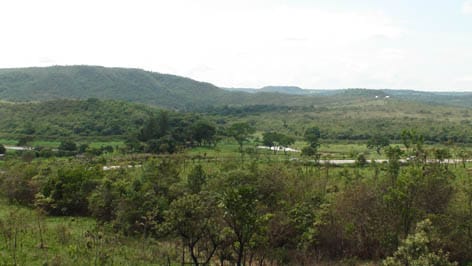 An important ecosystem: the Cerrado in Brazil
