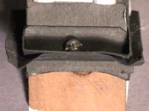 Plant versus Bee Power