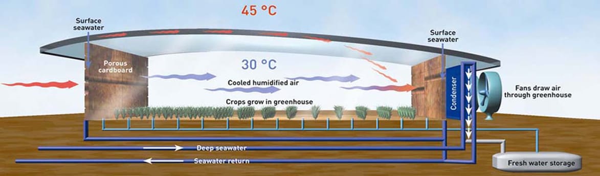 Image: Seawater Greenhouse Ltd