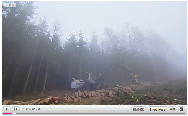 Thousands of trees felled in UK to stop Sudden Oak Death