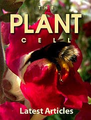 The future of plant science