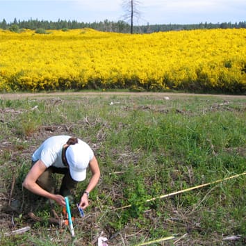 Functional traits and plant invasions (Invited Review)