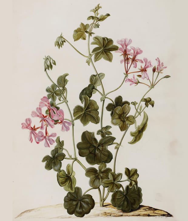 Image: Jan Moninckx, Moninckx Atlas, 1686–1709.