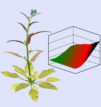 Mechanisms behind optimal defence patterns