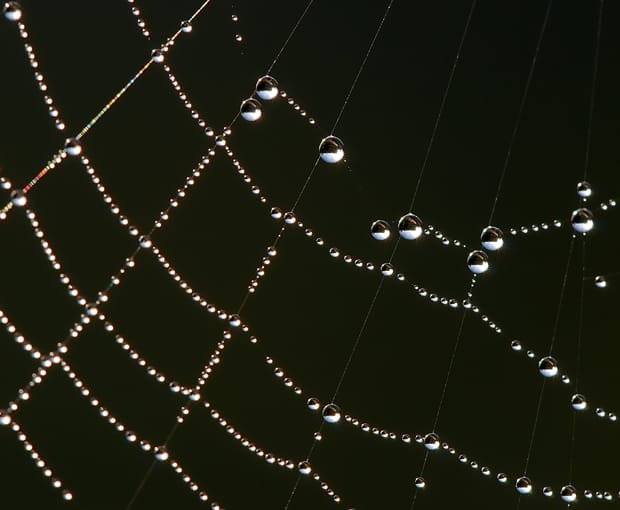 Image: Luc Viatour/Wikimedia Commons.