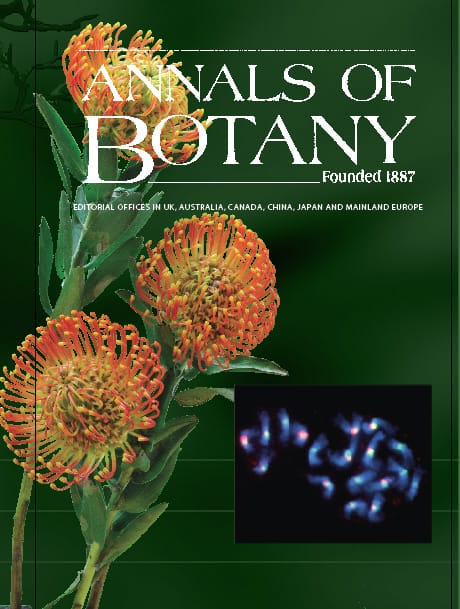 Leucospermum flowers in the family Proteaceae on the cover of Annals of Botany