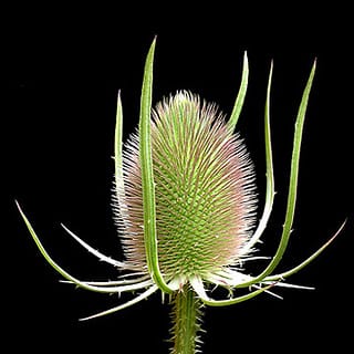 A salty tale of life on the road