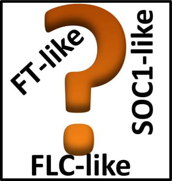 Choosing the correct candidate gene (two Viewpoint papers)