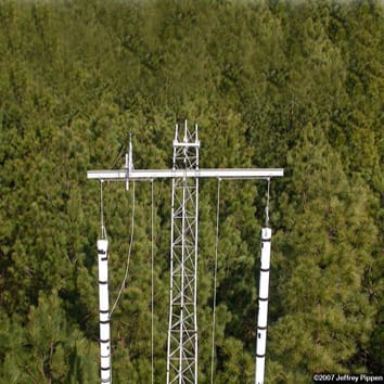 Nitrogen and water use efficiencies under elevated CO2