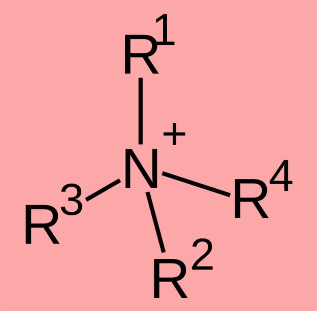 Image: Wikimedia Commons.