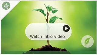 What a Plant Knows – MOOC Report