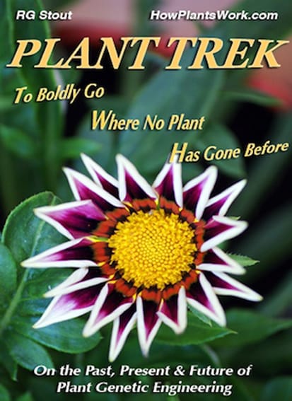 Image: Richard Stout, Plant Trek.