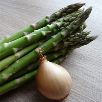 Abundant retrotransposons in the onion and asparagus genomes