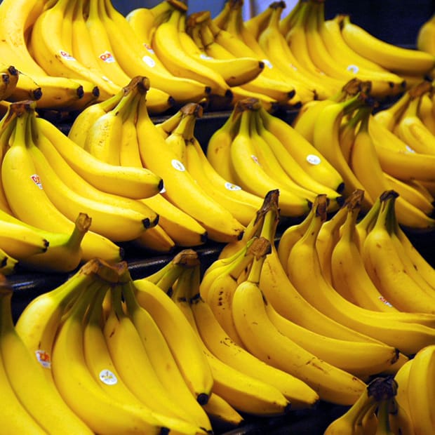 Image: Steve Hopson/Wikimedia Commons.