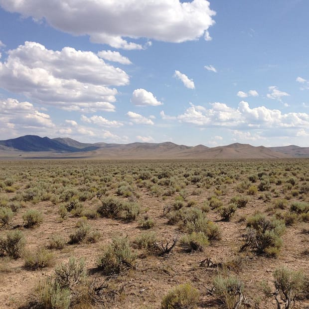 Image: Wikimedia Commons.