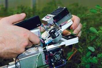 Giving drought the cold shoulder: A relationship between drought tolerance and fall dormancy in an agriculturally important crop