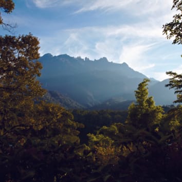 Revisiting spatial scale in the productivity-species richness relationship: fundamental issues and global change implications