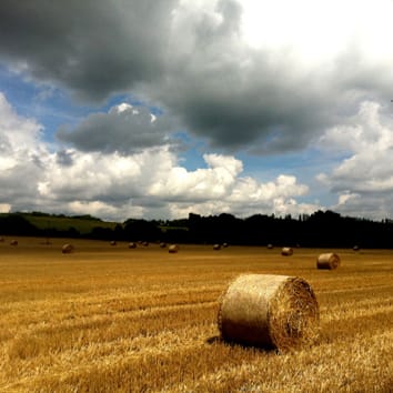 Sustainable intensification in agricultural systems (Invited Review)