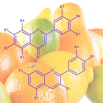 Genetic and tissue diversity of phenolic compounds in Citrus