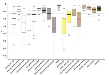 Phenotypic plasticity to light and nutrient availability alters functional trait ranking across eight perennial grassland species